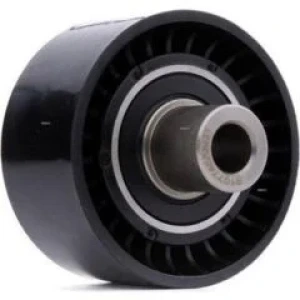 PEUGEOT ALTERNATÖR GERGİ BİLYESİ 